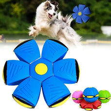 LED Dog Flying Saucer Toy - Outdoor Training & Play Disc for Pets