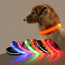 LED Night Safety Nylon Dog Leash: Glow in the Dark, Luminous Fluorescent Pet Collar