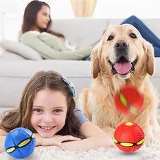 LED Dog Flying Saucer Toy - Outdoor Training & Play Disc for Pets